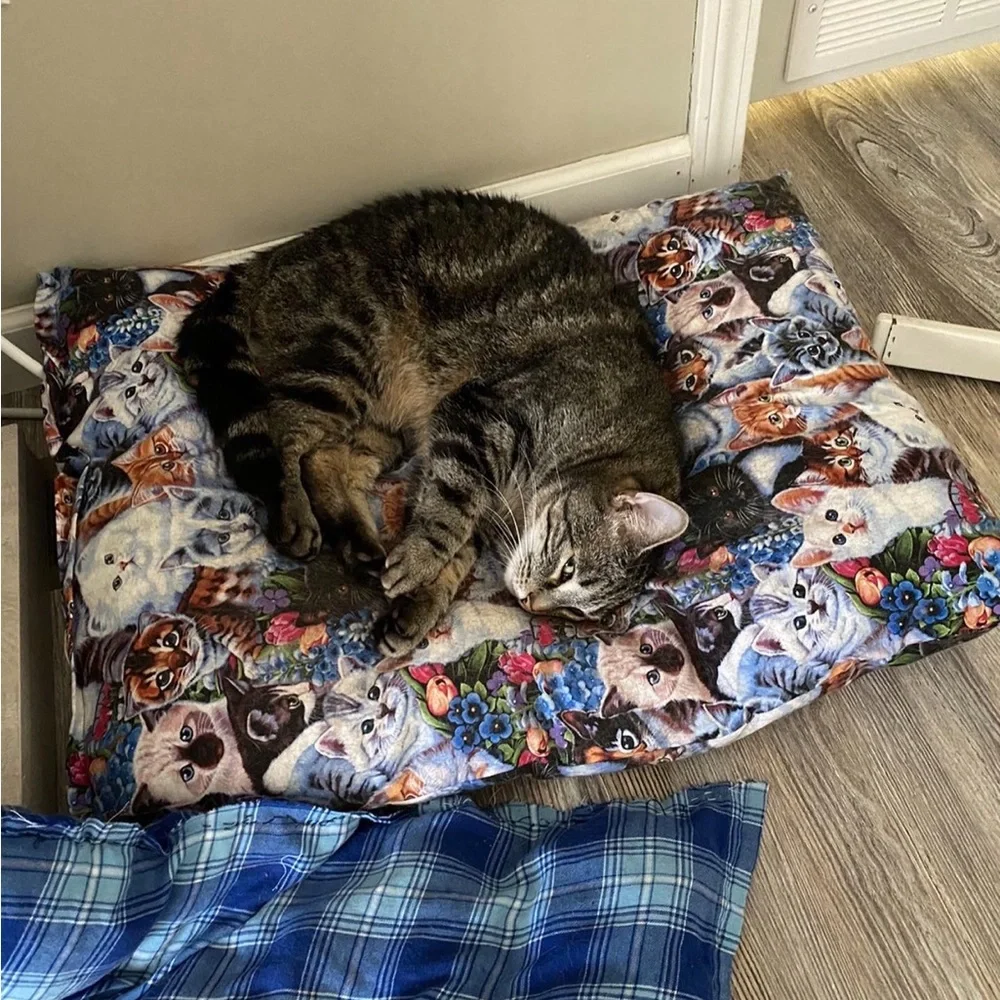 Catnip pillows